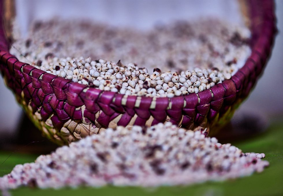 Sorghum grain documented for type, cleaning, moisture and commercial-use review