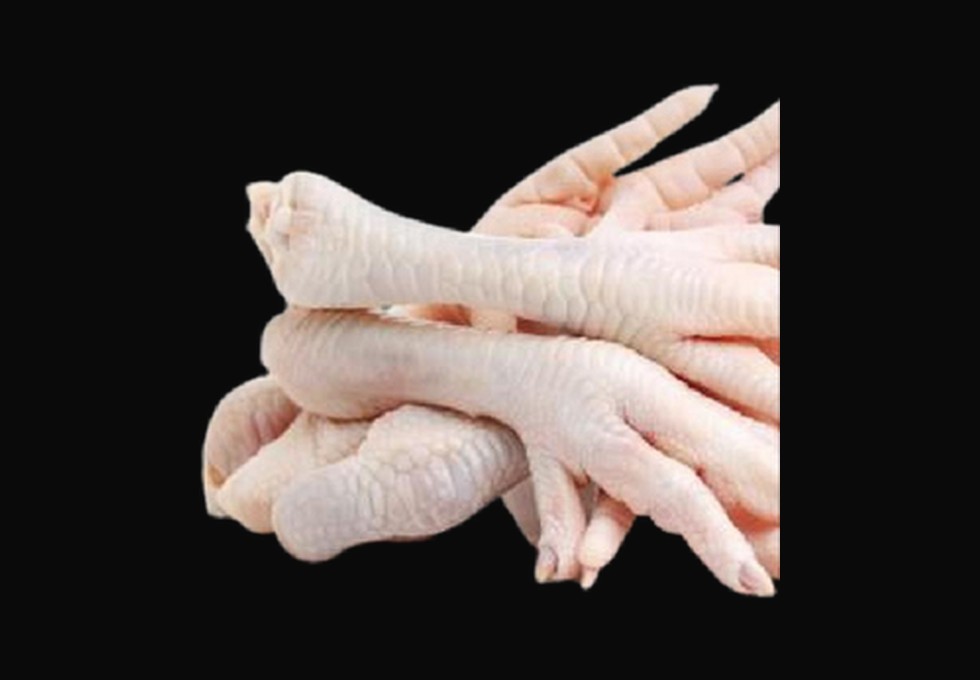 Patas de pollo congeladas