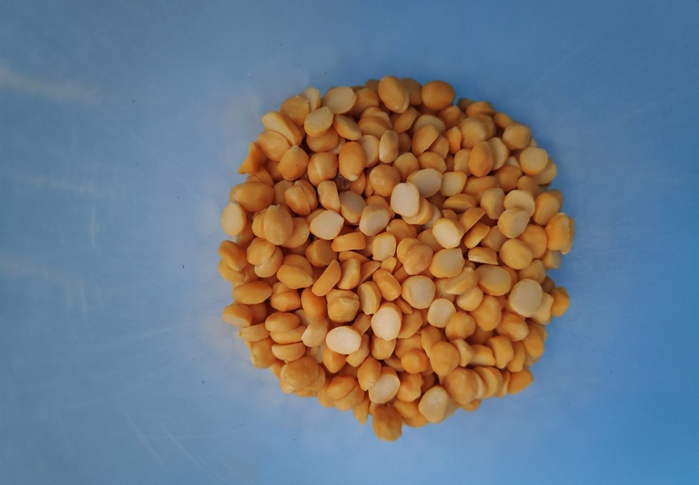 Split chickpeas as raw material for chickpea flour, gram flour or besan