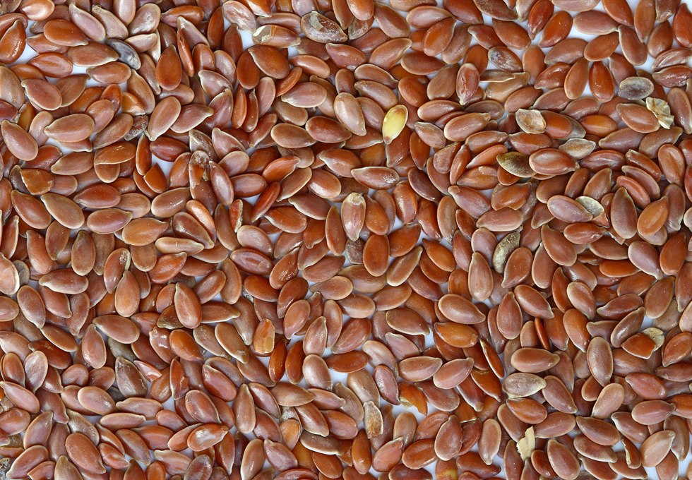 Brown flax seeds as raw material for flaxseed flour