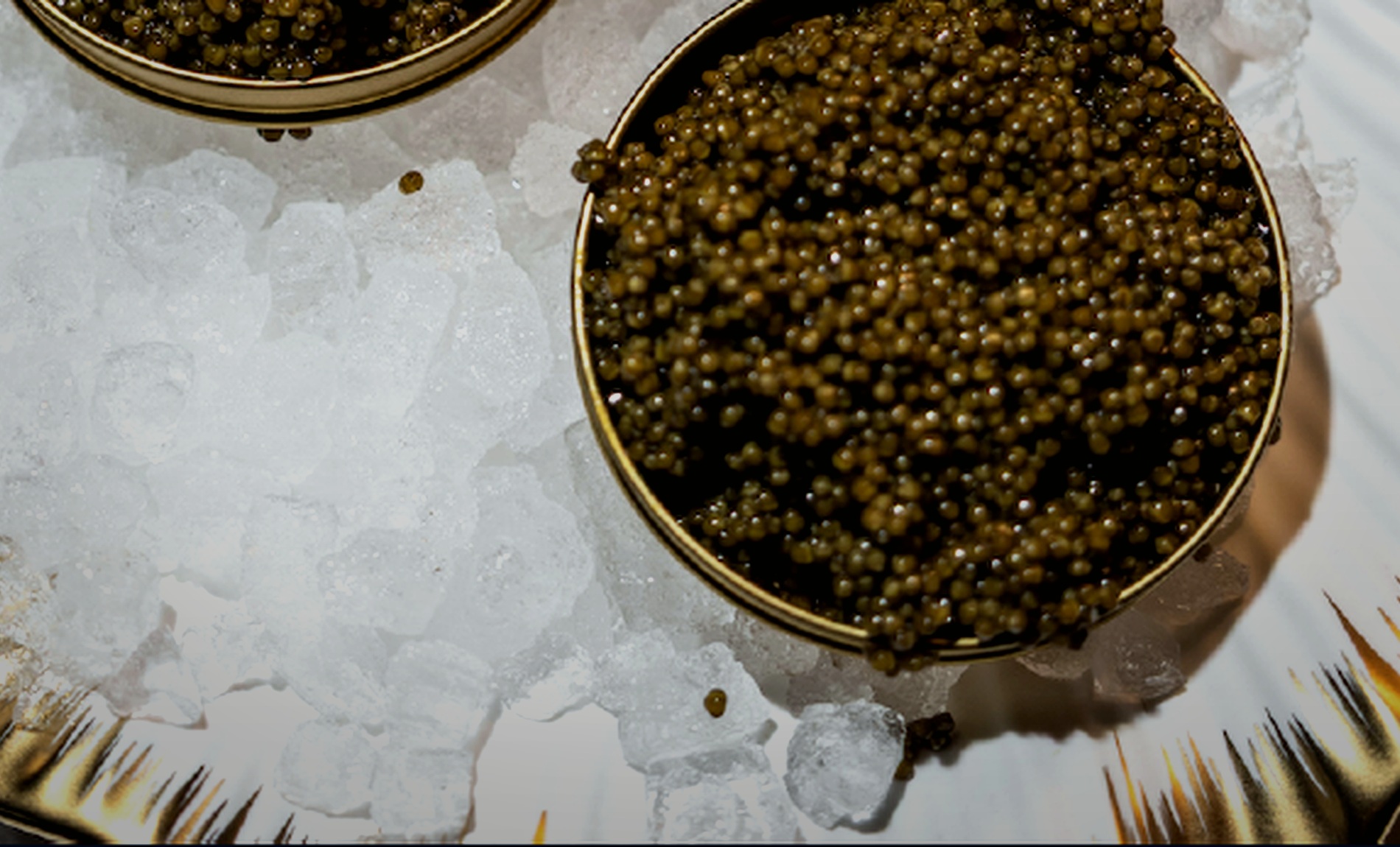 Sturgeon caviar in premium presentation for quality and traceability control