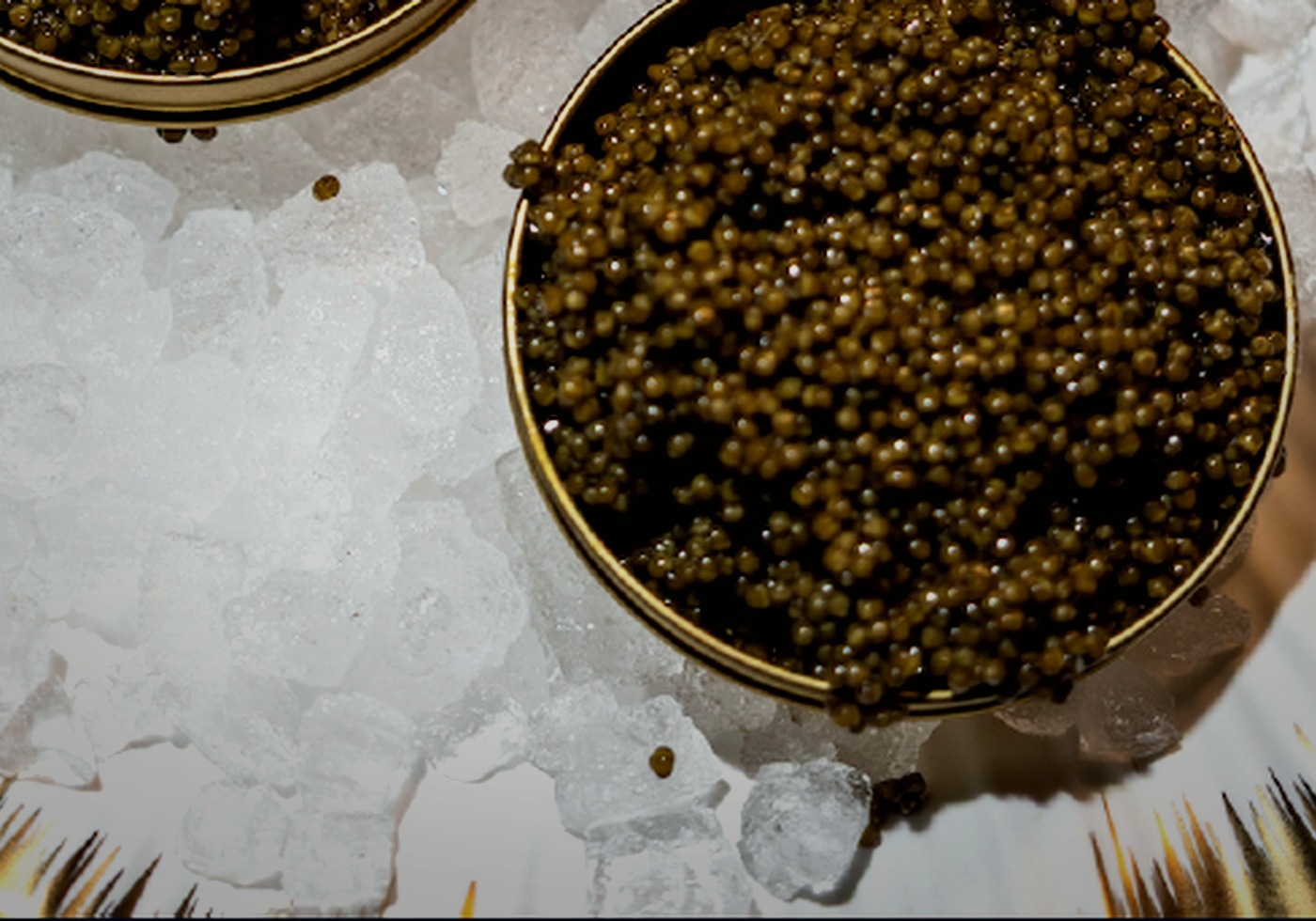 Caviar Osetra Imperial sin marca visible