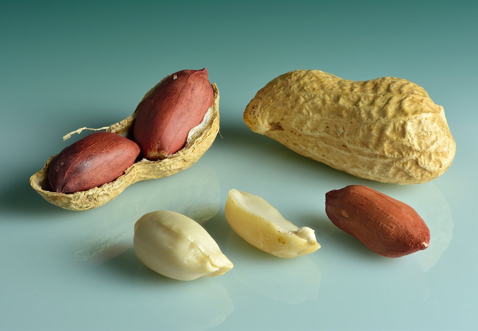 In-shell peanuts, kernels and peeled peanuts for commercial grading