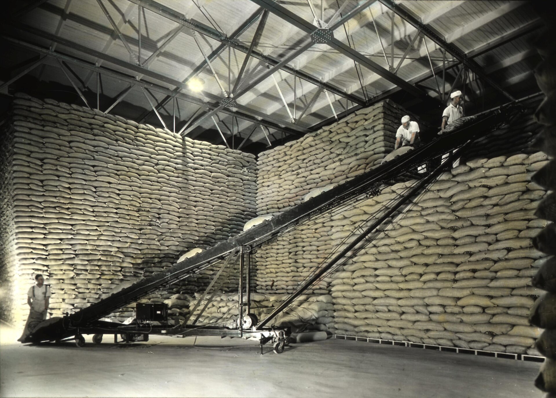 Bags of white sugar in storage, documentary context for packing and handling
